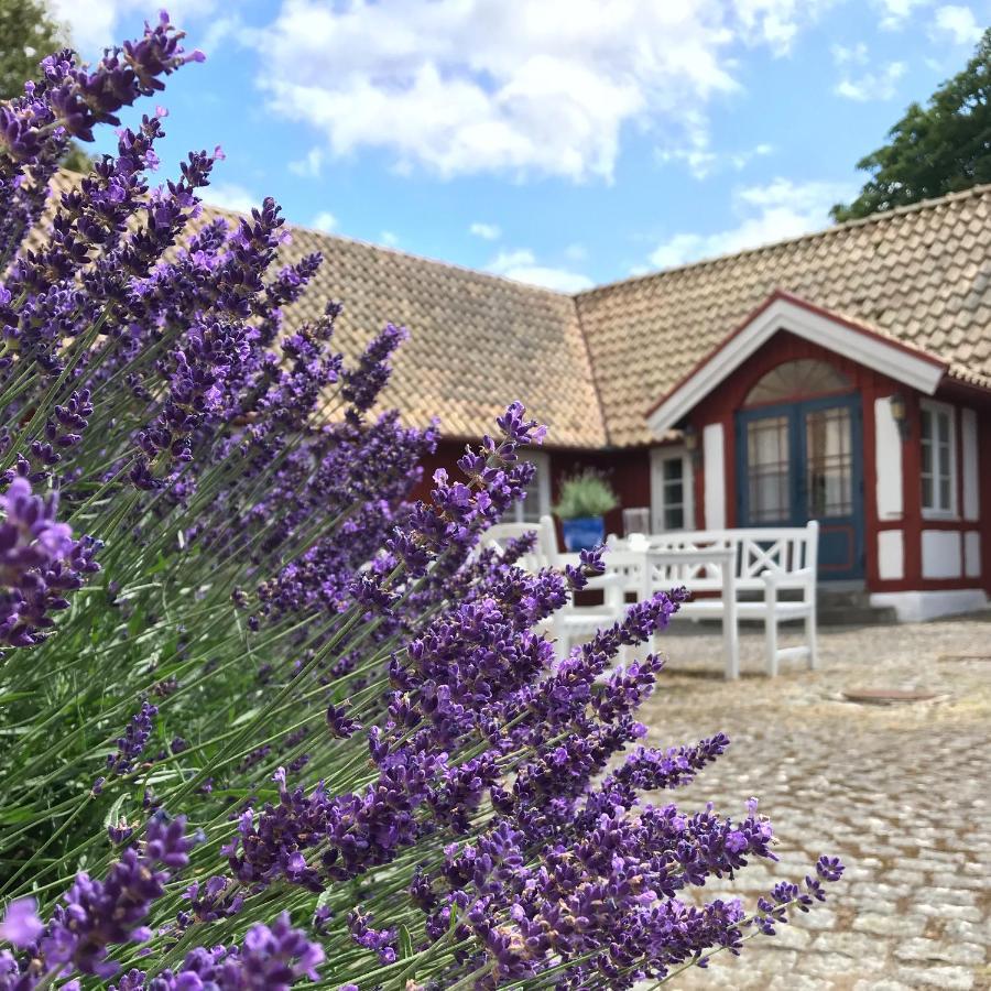 Soeder Countryhouse & Kitchen Bastad Ngoại thất bức ảnh